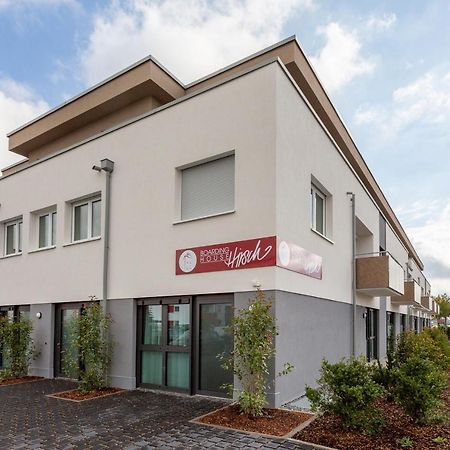 Boardinghouse Hirsch - Apartments in Kork Kehl Exterior foto